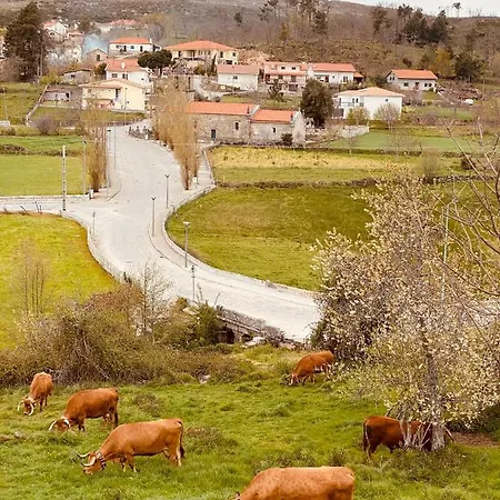 Palheiro Chalé Mezio