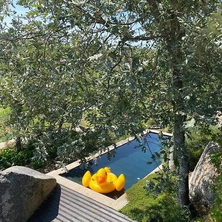 Palheiro Alpesi faház Mezio